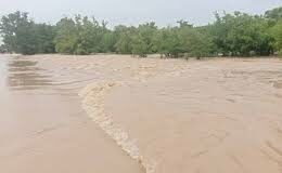 Région de Bankui: Une femme et son enfant meurent par noyade à Dedougou