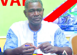 Projet Target malaria: la CVAB dénonce le 2e lâcher de moustiques à Souroukoudingan