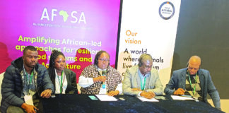 Justice climatique en Afrique: l’appel à un financement de l’agroécologie