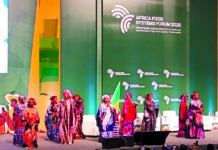 AFSF 2025: l’appel de la jeunesse à la souveraineté alimentaire de l’Afrique