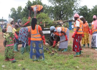Coup de balai volontaire : Tenkodogo fait son toilettage