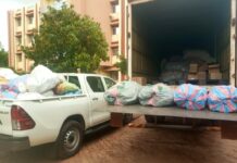 Vente illégale de médicaments vétérinaires: une importante quantité de produits saisie à Sankar yaar