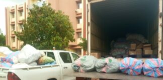 Vente illégale de médicaments vétérinaires: une importante quantité de produits saisie à Sankar yaar