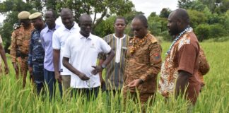 Campagne agricole humide dans le Nakambé : la plaine rizicole de Bidiga attend 112 tonnes de riz