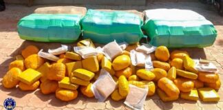 Lutte contre le trafic de stupéfiants :plus de 500 kg de chanvre indien saisis à Kaya et Ouagadougou