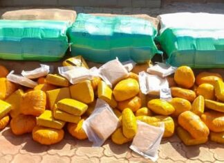 Lutte contre le trafic de stupéfiants :plus de 500 kg de chanvre indien saisis à Kaya et Ouagadougou