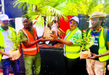 Embellissement des espaces publics : Burkina 24 offre des pots et des fleurs à Faso Mêbo