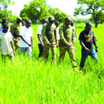 Suivi de la campagne agricole dans le Boulkiémdé: la physionomie des spéculations présage de bonnes récoltes