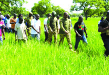 Suivi de la campagne agricole dans le Boulkiémdé: la physionomie des spéculations présage de bonnes récoltes