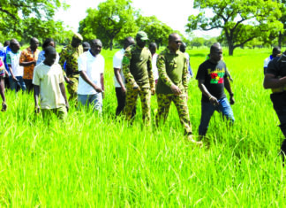 Suivi de la campagne agricole dans le Boulkiémdé: la physionomie des spéculations présage de bonnes récoltes
