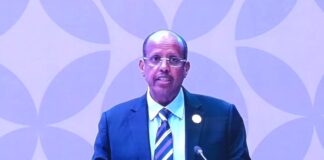 2e Sommet africain sur le climat: l’Afrique veut se repositionner dans les négociations internationales