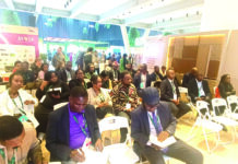 Agriculture en Afrique: bâtir des systèmes alimentaires durables basés sur l’agroécologie