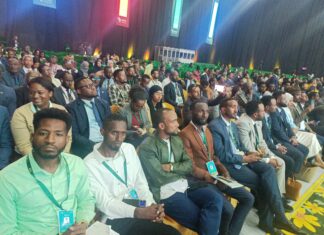 Crise climatique: faire de l’Afrique le leader des solutions