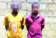 Lutte contre l’insécurité urbaine: 12 kilogrammes de cannabis saisis