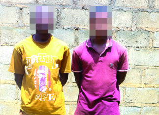 Lutte contre l’insécurité urbaine: 12 kilogrammes de cannabis saisis