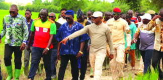 Suivi de la campagne agricole dans le Guiriko: le ministre d’Etat Ismaël Sombié visite des bas-fonds rizicoles dans le Tuy