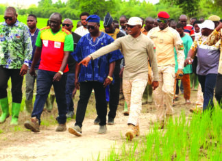 Suivi de la campagne agricole dans le Guiriko: le ministre d’Etat Ismaël Sombié visite des bas-fonds rizicoles dans le Tuy