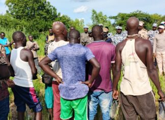 Centre pénitentiaire agricole de Baporo: des membres du gouvernement visitent les spéculations des détenus