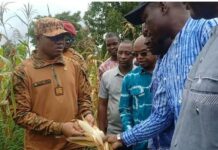 Campagne agricole humide 2025 : Une saison prometteuse dans le Djôrô