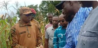 Campagne agricole humide 2025 : Une saison prometteuse dans le Djôrô