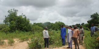 Industrialisation au Burkina Faso: une équipe conduite par l’ANCF prospecte à Banfora et à Niangoloko