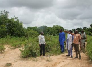 Industrialisation au Burkina Faso: une équipe conduite par l’ANCF prospecte à Banfora et à Niangoloko