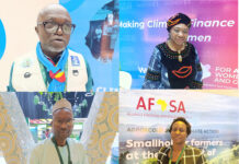 Deuxième Sommet africain sur le climat : attentes et préoccupations des participants