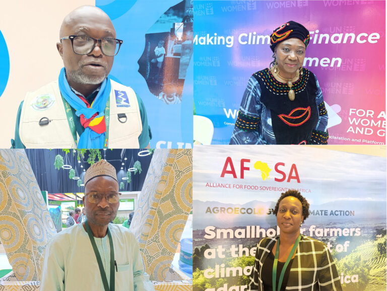 Deuxième Sommet africain sur le climat : attentes et préoccupations des participants