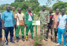 Bosquet à plantes médicinales du Zoundwéogo : La veille citoyenne lance des travaux d’entretien des plants