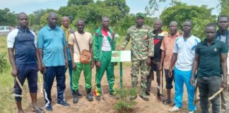 Bosquet à plantes médicinales du Zoundwéogo : La veille citoyenne lance des travaux d’entretien des plants