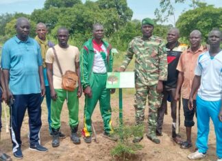 Bosquet à plantes médicinales du Zoundwéogo : La veille citoyenne lance des travaux d’entretien des plants
