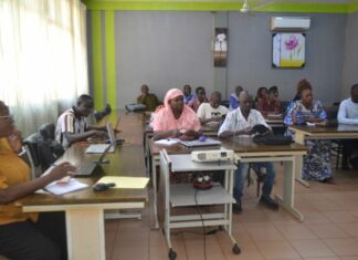 Violences basées sur le genre: une session de communauté de pratique pour renforcer le réseautage