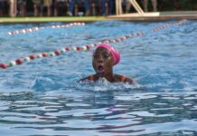 Natation: les différents champions de l’année connus