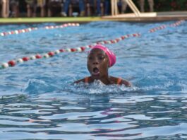 Natation: les différents champions de l’année connus