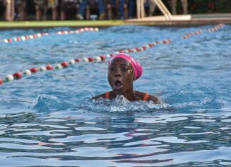 Natation: les différents champions de l’année connus