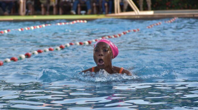 Natation: les différents champions de l’année connus