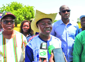 Campagne agricole 2025-2026: le gouverneur de la région de Yaadga s’imprègne des réalités du terrain