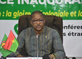 Diaspora africaine et Afrodescendants : un retour sur les terres des ancêtres