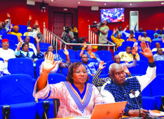 Assemblée législative de Transition: la dissolution de la CENI actée par les députés