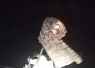 Cas d’incivisme à Ouagadougou: le tenancier d’une auberge voile un lampadaire avec un pagne