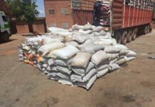 Cinkansé: 207 sacs de cyanure dissimulés sous du riz saisis