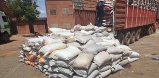 Cinkansé: 207 sacs de cyanure dissimulés sous du riz saisis