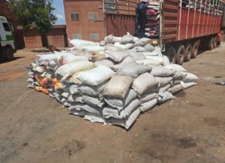 Cinkansé: 207 sacs de cyanure dissimulés sous du riz saisis