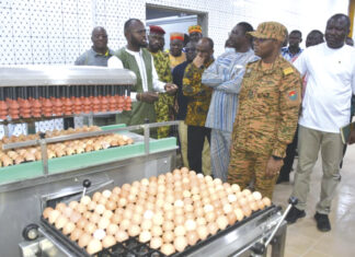 Production de poussins de chair: le commandant Sombié visite deux couvoirs