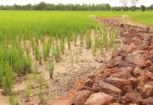 Abondance de la pluviométrie: Il faut transformer la menace en opportunité