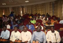 Filière avicole : A la recherche du prix plafond du poussin de chair local