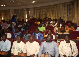 Filière avicole : A la recherche du prix plafond du poussin de chair local