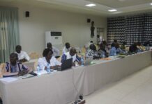 Nouvelles dynamiques du droit constitutionnel: des professionnels en formation