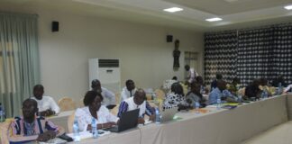 Nouvelles dynamiques du droit constitutionnel: des professionnels en formation