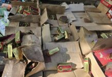 Lutte contre les aliments impropres: 33 800 boites de sardine saisies à Dapoya